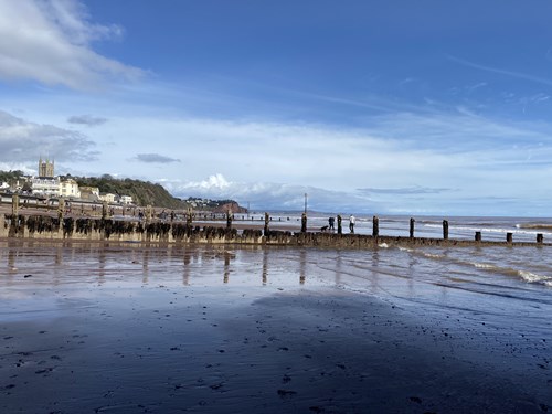 A tribute to the bright lights of Teignmouth